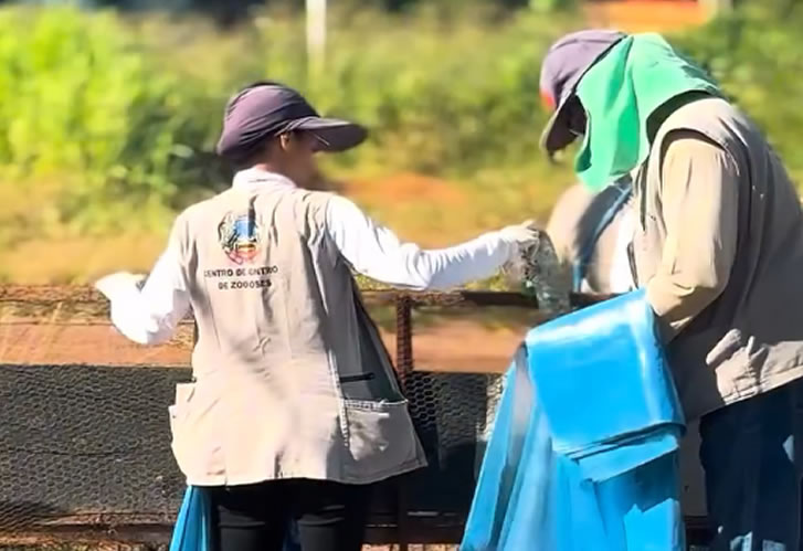 alerta-vermelho-contra-a-dengue