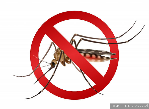 mosquito01