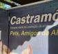 Parceria PMU/AMNOR vai resultar em mais 450 castrações de cães