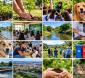 Meio ambiente: avanços na arborização, causa animal e sustentabilidade