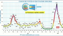 covid-cai-dengue-sobre-sobe-e-desce-de-doencas-cujo-combate-depende-da-populacao