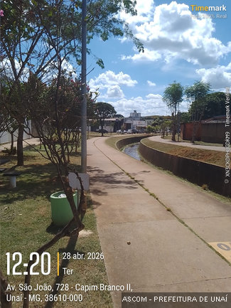 corguimlimpo05