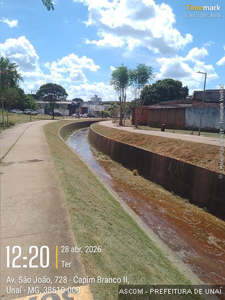 corguimlimpo07