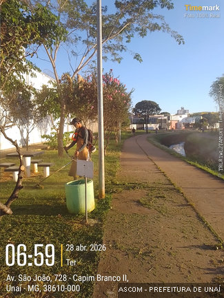 corguimlimpo08