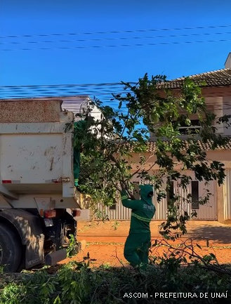 limpestrutural04
