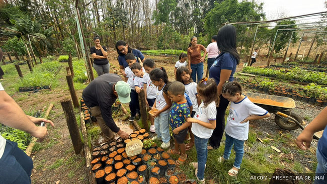 projetoviveiro07